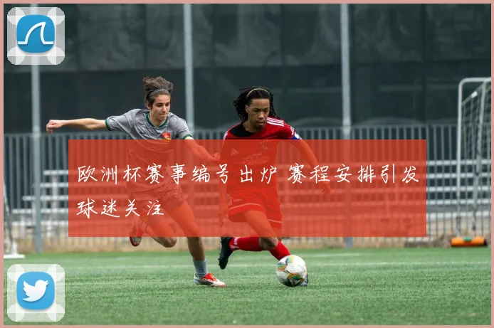 欧洲杯赛事编号出炉 赛程安排引发球迷关注