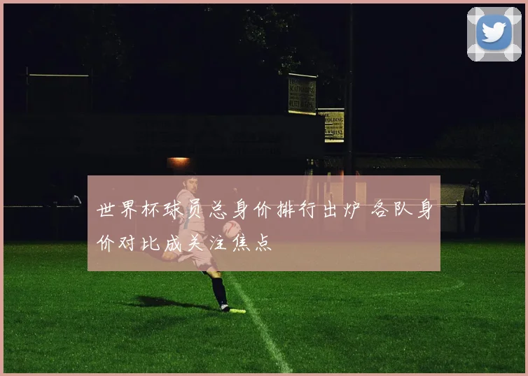 世界杯球员总身价排行出炉 各队身价对比成关注焦点