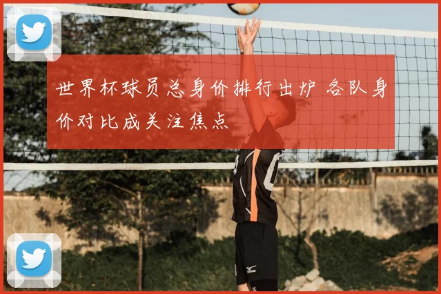 世界杯球员总身价排行出炉 各队身价对比成关注焦点