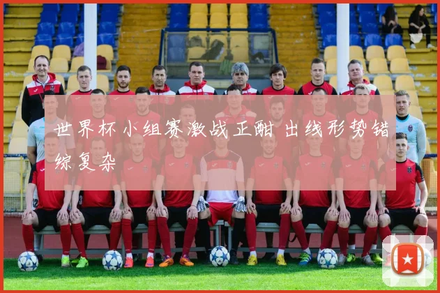 世界杯小组赛激战正酣 出线形势错综复杂