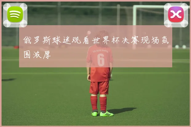 俄罗斯球迷观看世界杯决赛现场氛围浓厚