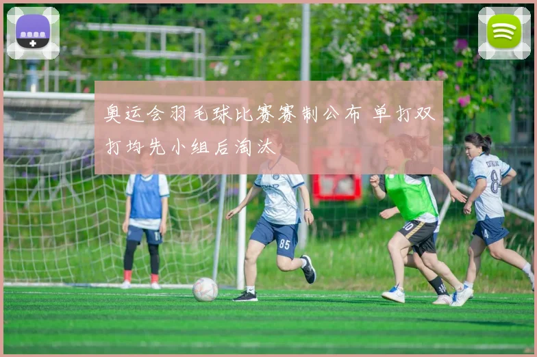 奥运会羽毛球比赛赛制公布 单打双打均先小组后淘汰