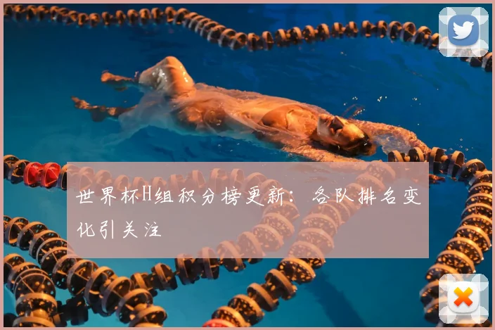 世界杯H组积分榜更新：各队排名变化引关注