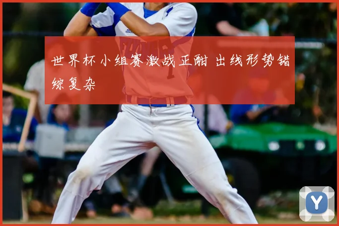 世界杯小组赛激战正酣 出线形势错综复杂