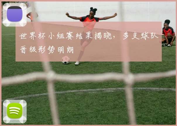 世界杯小组赛结果揭晓，多支球队晋级形势明朗
