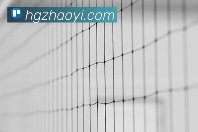 英格兰世界杯图片回顾 揭示球队表现细节与关键比赛看点